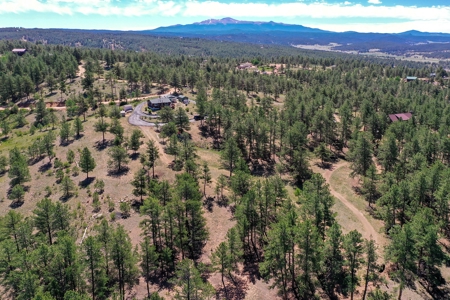 Charming Mountain Cabin on 5 Mitigated Acres - Florissant, CO - image 45