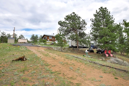 Charming Mountain Cabin on 5 Mitigated Acres - Florissant, CO - image 35