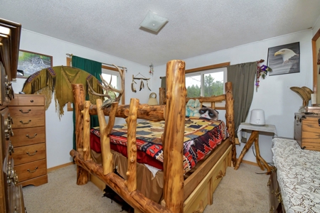 Charming Mountain Cabin on 5 Mitigated Acres - Florissant, CO - image 2