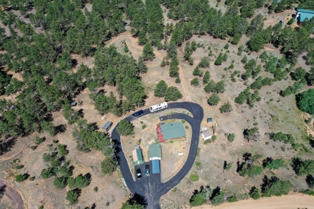 Charming Mountain Cabin on 5 Mitigated Acres - Florissant, CO - image 47