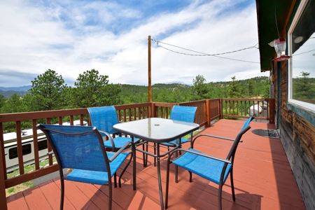 Charming Mountain Cabin on 5 Mitigated Acres - Florissant, CO - image 14