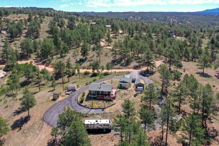 Charming Mountain Cabin on 5 Mitigated Acres - Florissant, CO - image 44