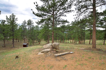 Charming Mountain Cabin on 5 Mitigated Acres - Florissant, CO - image 37