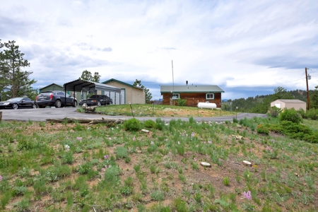 Charming Mountain Cabin on 5 Mitigated Acres - Florissant, CO - image 30