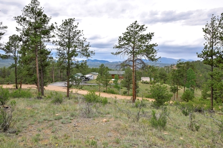 Charming Mountain Cabin on 5 Mitigated Acres - Florissant, CO - image 39