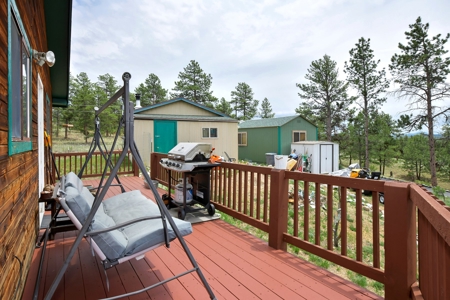 Charming Mountain Cabin on 5 Mitigated Acres - Florissant, CO - image 17