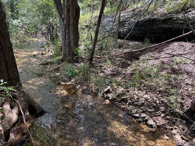 Gatesville Gem: 41Acres with Seasonal Creek and Country Home - image 34