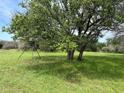 Gatesville Gem: 41Acres with Seasonal Creek and Country Home - image 36