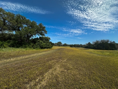 12-Acre Property with Wildlife Exemption and Panoramic Views - image 6