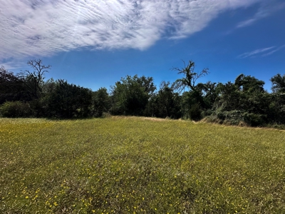 12-Acre Property with Wildlife Exemption and Panoramic Views - image 13