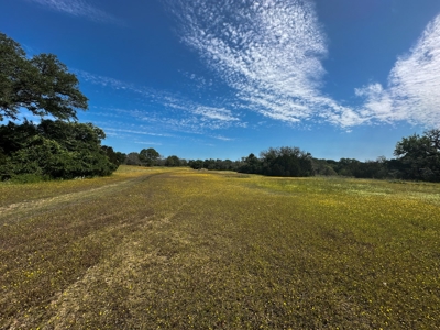 12-Acre Property with Wildlife Exemption and Panoramic Views - image 10