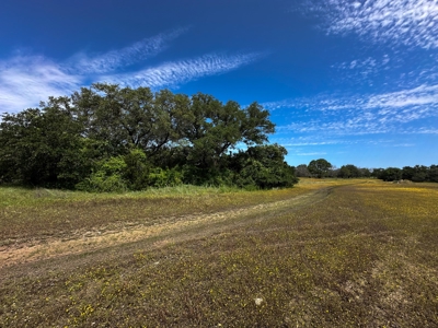 12-Acre Property with Wildlife Exemption and Panoramic Views - image 8