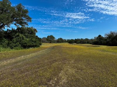 12-Acre Property with Wildlife Exemption and Panoramic Views - image 12