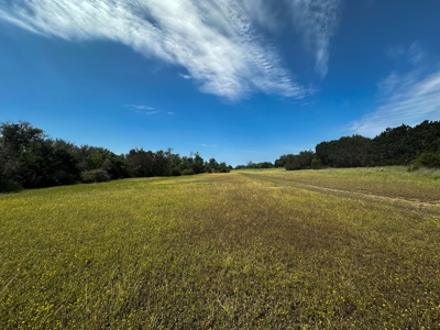 12-Acre Property with Wildlife Exemption and Panoramic Views - image 11