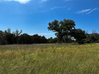 12-Acre Property with Wildlife Exemption and Panoramic Views - image 14