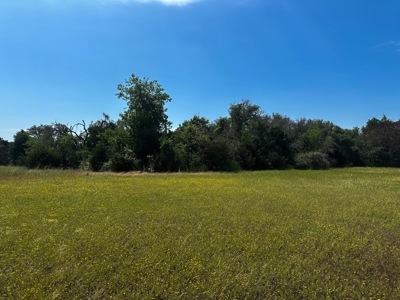 12-Acre Property with Wildlife Exemption and Panoramic Views - image 9