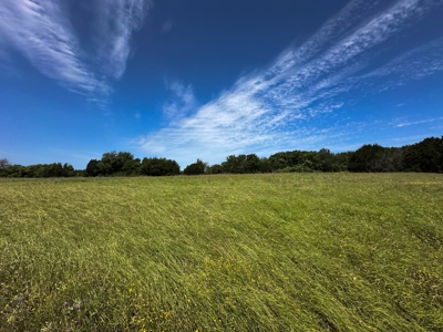 12-Acre Property with Wildlife Exemption and Panoramic Views - image 7