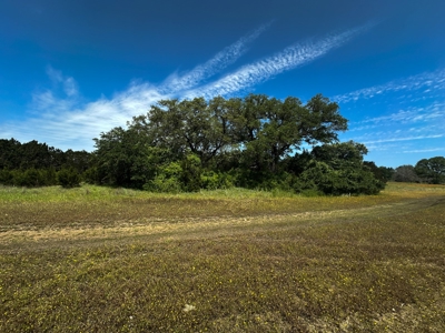 12-Acre Property with Wildlife Exemption and Panoramic Views - image 4