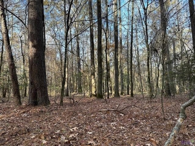 80 Acre Hunting Property for Sale in Caldwell Parish, La - image 30
