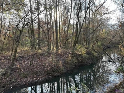 80 Acre Hunting Property for Sale in Caldwell Parish, La - image 6