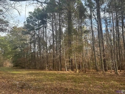 80 Acre Hunting Property for Sale in Caldwell Parish, La - image 9