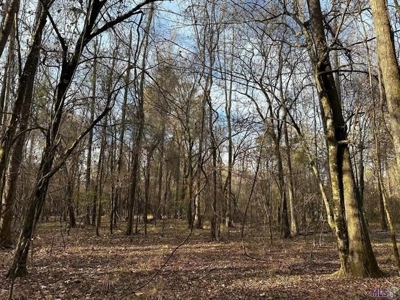 80 Acre Hunting Property for Sale in Caldwell Parish, La - image 2
