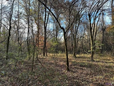 80 Acre Hunting Property for Sale in Caldwell Parish, La - image 8