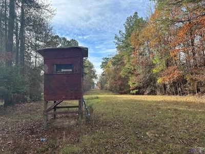 80 Acre Hunting Property for Sale in Caldwell Parish, La - image 1