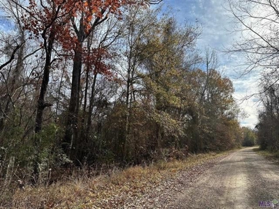 80 Acre Hunting Property for Sale in Caldwell Parish, La - image 7