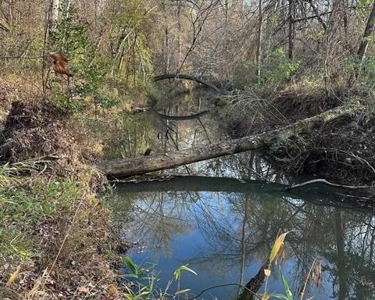 80 Acre Hunting Property for Sale in Caldwell Parish, La - image 27