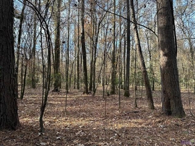 80 Acre Hunting Property for Sale in Caldwell Parish, La - image 11