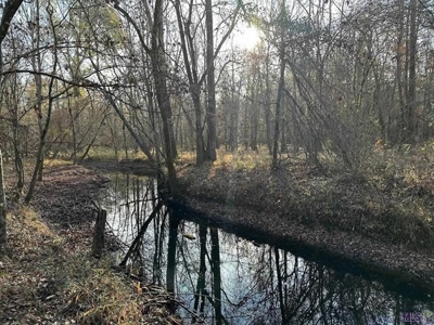 80 Acre Hunting Property for Sale in Caldwell Parish, La - image 10