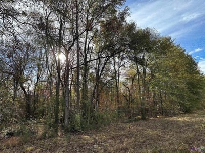 80 Acre Hunting Property for Sale in Caldwell Parish, La - image 25
