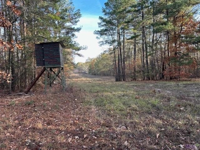80 Acre Hunting Property for Sale in Caldwell Parish, La - image 14