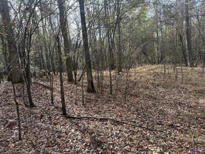 80 Acre Hunting Property for Sale in Caldwell Parish, La - image 33