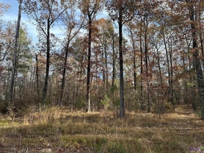 80 Acre Hunting Property for Sale in Caldwell Parish, La - image 12