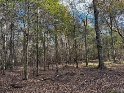 80 Acre Hunting Property for Sale in Caldwell Parish, La - image 15