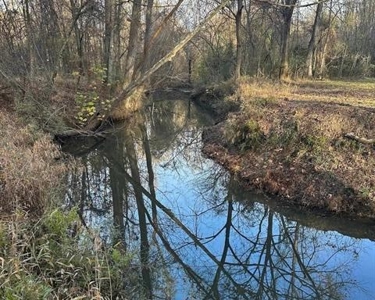 80 Acre Hunting Property for Sale in Caldwell Parish, La - image 18