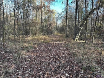 80 Acre Hunting Property for Sale in Caldwell Parish, La - image 4