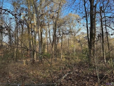 80 Acre Hunting Property for Sale in Caldwell Parish, La - image 23