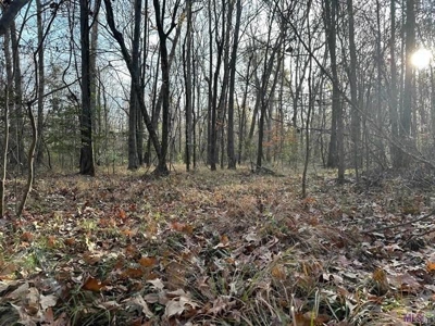 80 Acre Hunting Property for Sale in Caldwell Parish, La - image 17