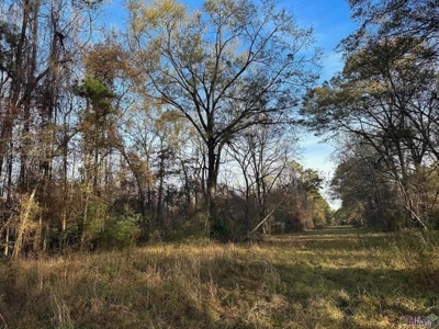 80 Acre Hunting Property for Sale in Caldwell Parish, La - image 22