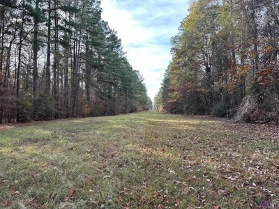 80 Acre Hunting Property for Sale in Caldwell Parish, La - image 26