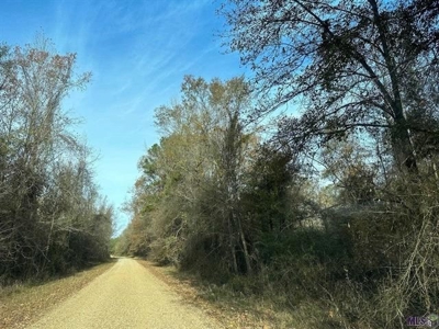 80 Acre Hunting Property for Sale in Caldwell Parish, La - image 21