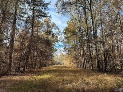 80 Acre Hunting Property for Sale in Caldwell Parish, La - image 32