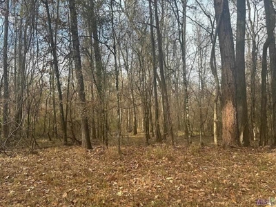 80 Acre Hunting Property for Sale in Caldwell Parish, La - image 29