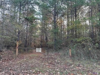 80 Acre Hunting Property for Sale in Caldwell Parish, La - image 20