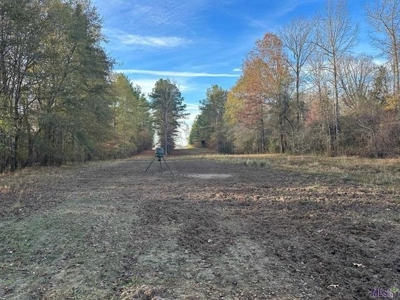 80 Acre Hunting Property for Sale in Caldwell Parish, La - image 28