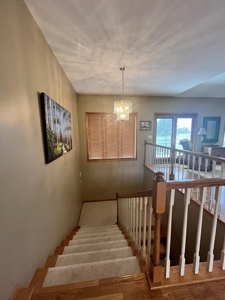Ranch Country Home On 20 Acres - image 29