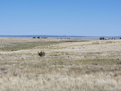 Scenic Ranch & Custom Home Site in Northern Estancia Valley - image 6